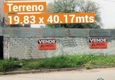 Terreno 800m